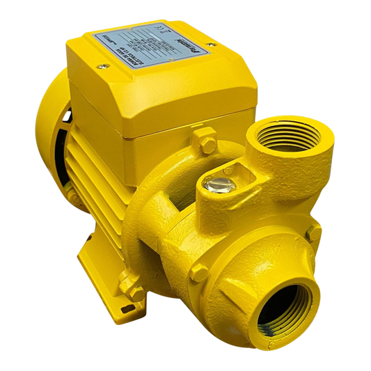 BOMBA PERIFÉRICA eléctrica 110V 1HP PARAZZINI BPP165